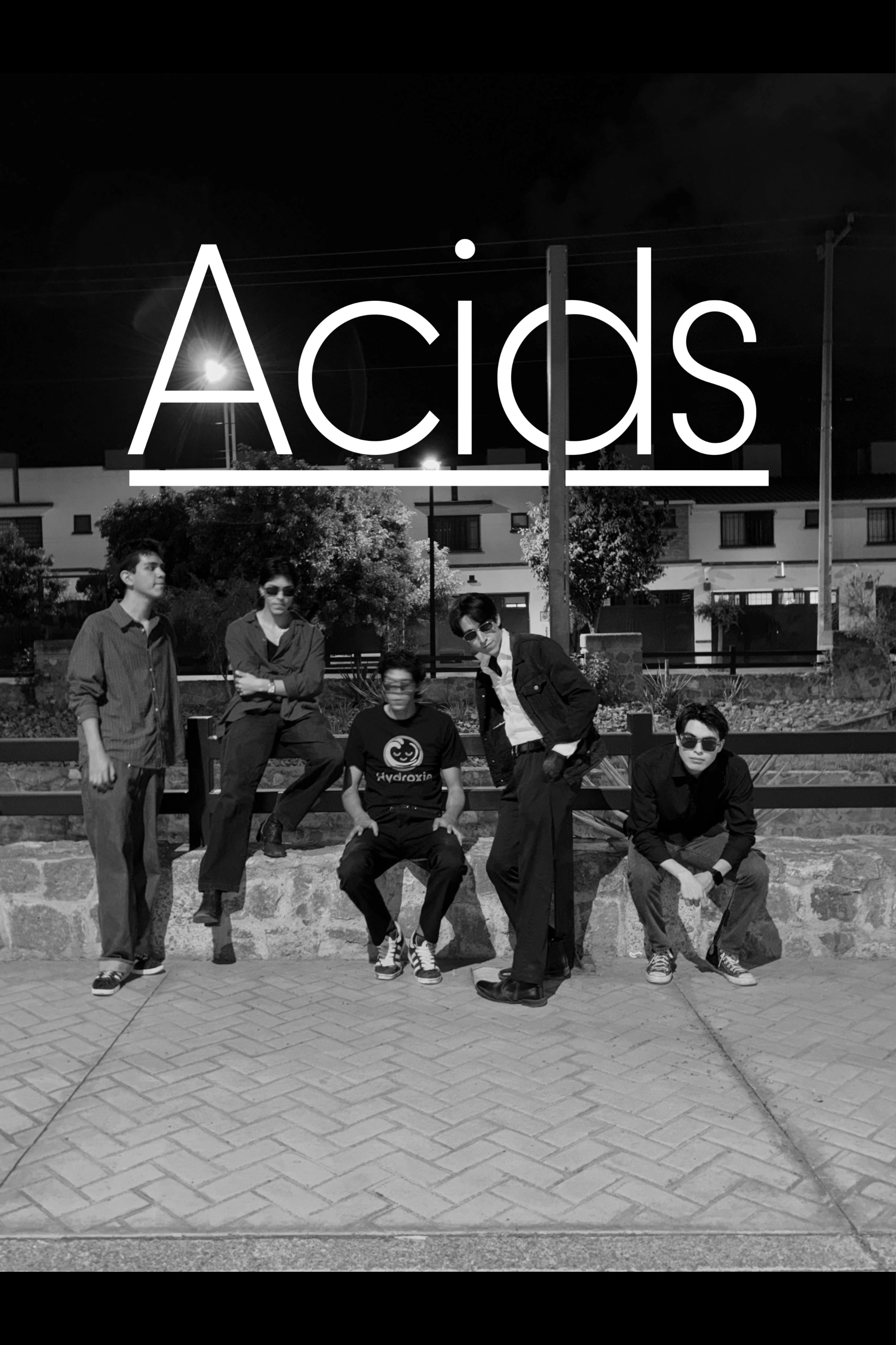 Retrato de la banda